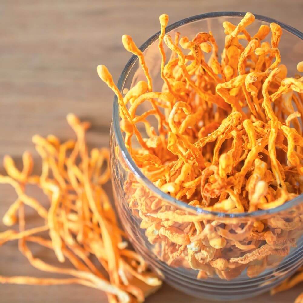 Cordyceps sinesis is one of the favorite ingredients in Revvl Restore. This adaptogenic mushroom is known in natural health circles for its stress support benefits, energy support benefits, and impact on focus levels.